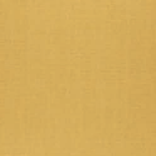 Cammello